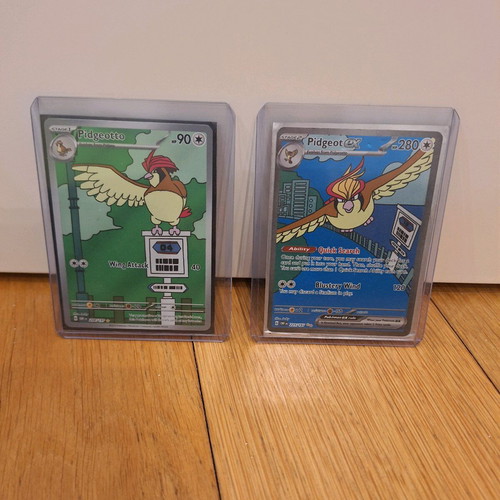 Pidgeotto Illustration new, rare