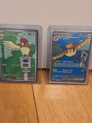 Pidgeotto Illustration new, rare