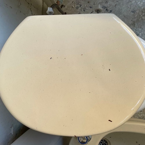 VINTAGE Cauldron of 70" beige