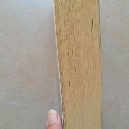 A Spool of Blue Thread by Anne Tyler used English book