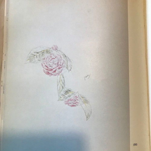 Japan book Takis Alexiou like new, collectible