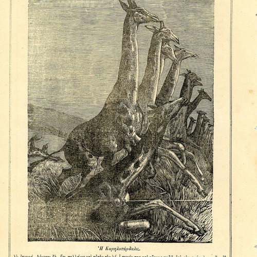 Efimeris ton Paidon newspaper used, year 12, issue 134, 1879