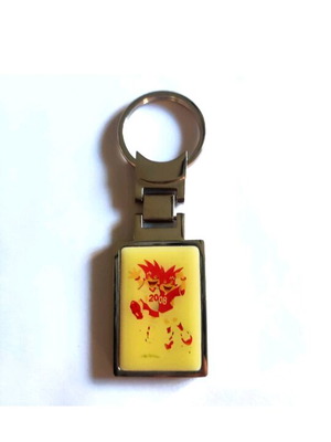 Collectible keychain UEFA Euro 2008 Austria_Switzerland like new