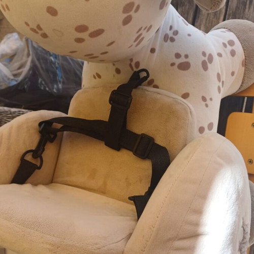 Inglesina Sketch stroller used with Nattou rocking dog gift