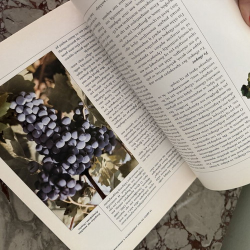 The Book of Wine used, Greek edition by G. Vekios, D. Koukis, A. Tsakiris