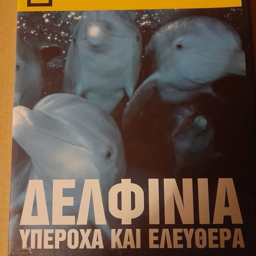 Dolphins DVD from National Geographic like new, documentary with subtitles