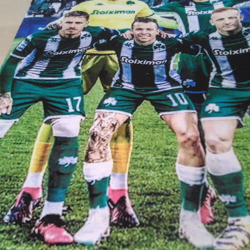Panathinaikos football team small collectible poster 2022 like new