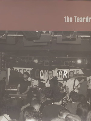 The Teardeops Girl Of Mine / You Never Loved Me vinyl new, rock