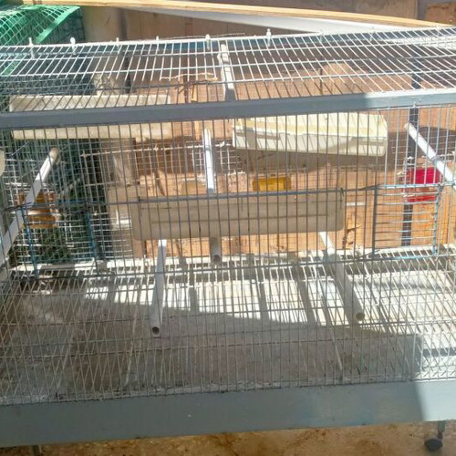 Large bird cage like new with 6 external feeders and 4 waterers