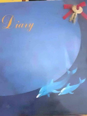 Lock-Up Diary with Dolphins and Moon, new