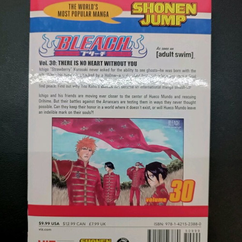Bleach Manga Volume 30 like new