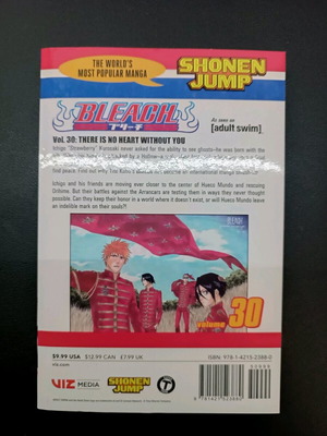 Bleach Manga Volume 30 like new