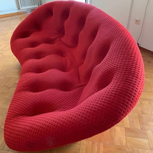 Ligne Roset Ploum Sofa high back used, modern three-seater from USA