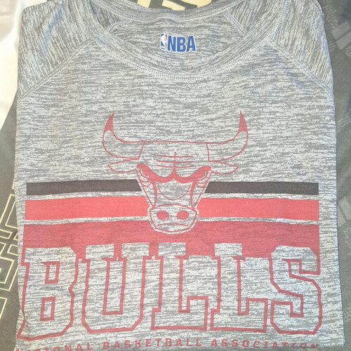 NBA Bulls men's t-shirt, gray, size L