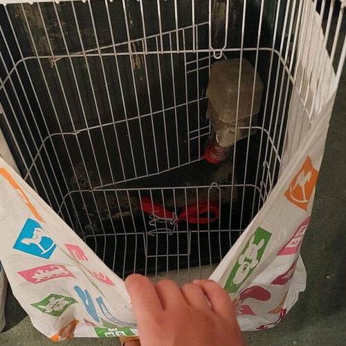 Rabbit cage used with waterer and feeder