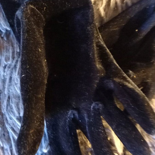 Velvet gloves like new, one size, black