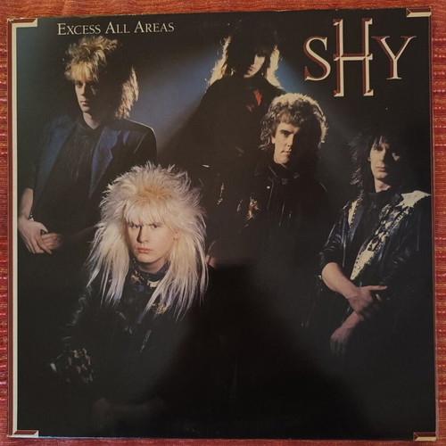 Shy Excess All Areas vinyl record used, metal