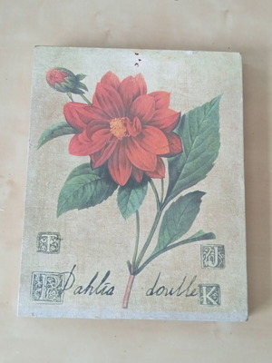 Декоративна дървена рамка Dahlia Print Dahlia Double употребявана