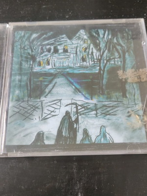 Ryan Adams 29 CD, folk