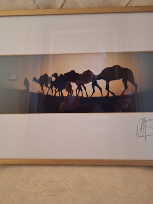 Artistic desert photograph like new, unknown artist