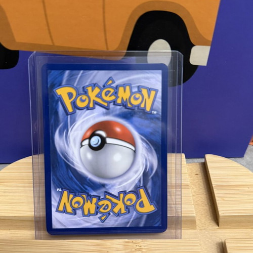 Wailord Pokémon card new