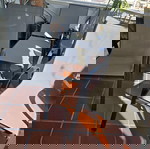  4 ΚΑΡΕΚΛΟΠΟΛΥΘΡΟΝΕΣ + 1ΣΕΖΛΟΝΓΚ