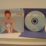 Raining Pleasure Flood CD used, rock