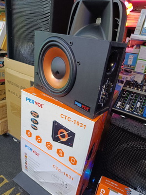 Αυτοενισχυόμενο Subwoofer Αυτοκινήτου 10" 200W RMS με Ενσύρματο Χειριστήριο καινούργιο