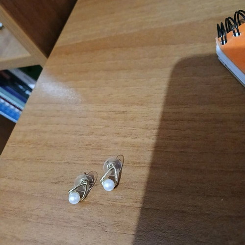 Earrings new, unworn