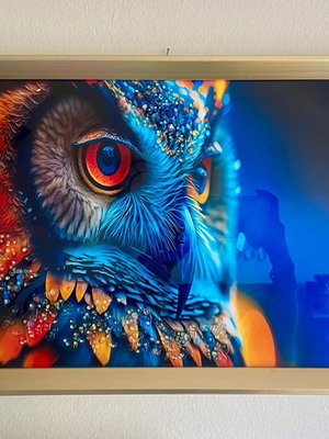 Owl frame with rhinestones like new