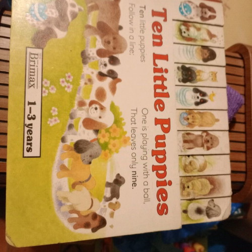 Ten Little Puppies Brimax children's book used, 1-3 years