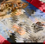  Πίνακας από puzzles,λύκος σε χιονισμένο τοπίο.