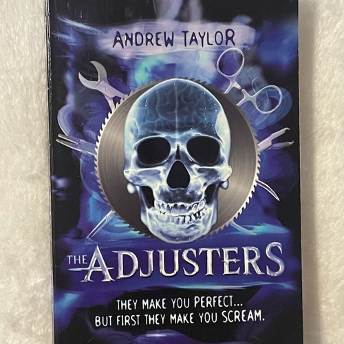 The Adjusters by Andrew Taylor, Usborne YA thriller paperback