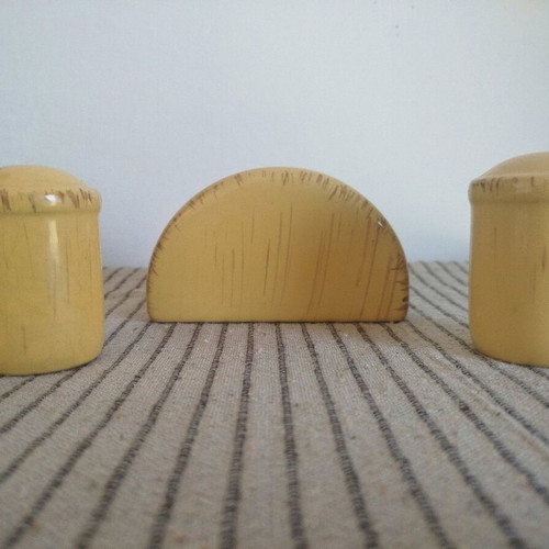 Salt and pepper set with napkin holder used