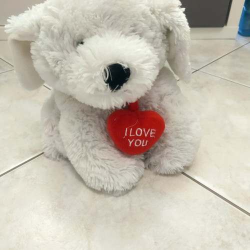 Plush Bear Dog Like New With I Love You Heart, 22cm