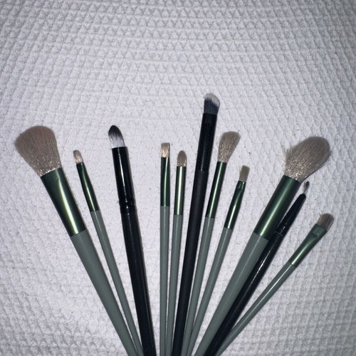 Makeup brush set like new