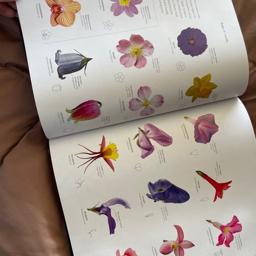 The Science of Plants book new, coffee table, English