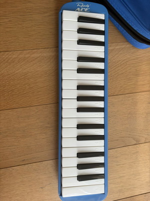 Melodica παιδική σαν καινούργιο με πλένεται επιστόμιο