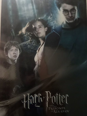 Harry Potter Poster new