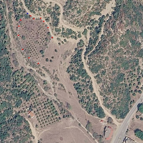 Agricultural land 4,817 m² with 150 olive trees, buildable in Halkidiki