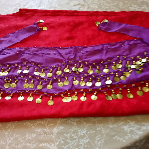 Dance skirt new, purple with ethnic and folklore motifs