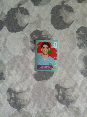 FIFA World Cup 2026 Sticker New