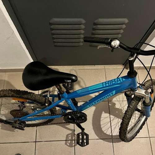 Clermont Tribe 20 Inch Blue Kids Bicycle used