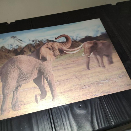 3D Decorative Wall Art with African Elephants Effect 39x29cm like new