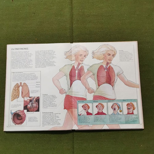 Book The Body and How It Works used