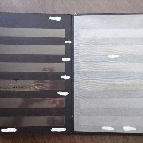 Stamp album used with thematic editions from many countries
