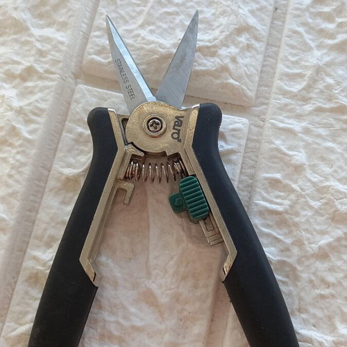 Varo pruning shears used, small size