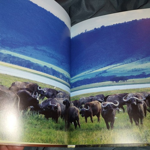 Safari Style book like new, English