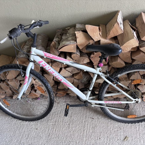 Two mountain bikes used for elementary and middle school kids
