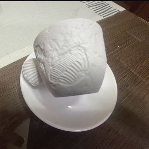 Illy espresso cup limited edition, like new, Paolo Rossetti Fossile 1997